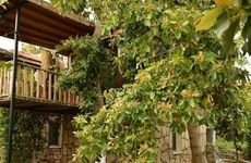 turkiye/mugla/fethiye/fethiye-bungalow_09cb64aa.jpg