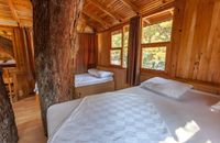 Boomhut