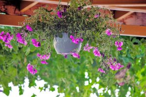 turkiye/mugla/fethiye/kabak-misafir-evi_535dddea.jpg