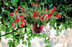 turkiye/mugla/fethiye/kabak-misafir-evi_89c3602c.jpg