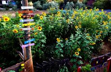 turkiye/mugla/fethiye/kayakoy-jungle-camping-homes_be5d6e35.png