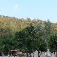 Kestep Sanat ve Yaşam Köyü
