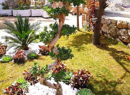 turkiye/mugla/fethiye/kevser-inn-hotel-66e0012d.jpeg
