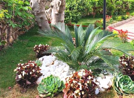 turkiye/mugla/fethiye/kevser-inn-hotel-c02d3802.jpeg