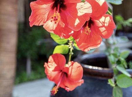 turkiye/mugla/fethiye/layla-gocek_f071ea30.jpg