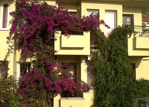 turkiye/mugla/fethiye/leda-hotel-85539k.jpg