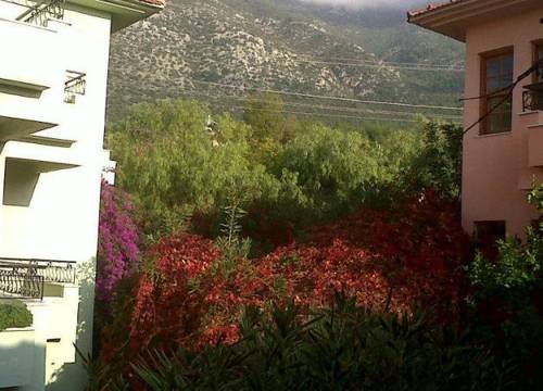 turkiye/mugla/fethiye/leda-hotel-85544n.jpg