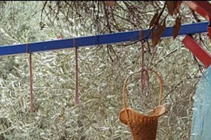 turkiye/mugla/fethiye/lilith-camping_654ab7e8.png