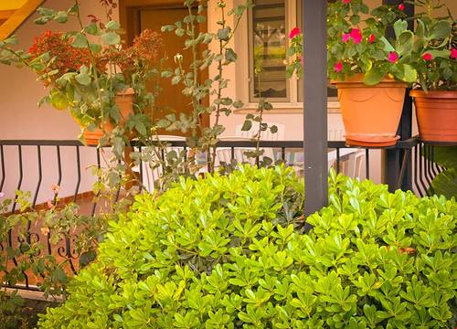 turkiye/mugla/fethiye/lumos-homes-boutique-hotel_515dcd6f.jpg