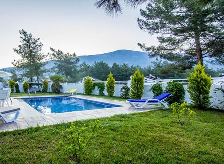 turkiye/mugla/fethiye/luxury-pine-villa_a469552b.jpg