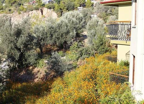 turkiye/mugla/fethiye/mandarin-mango-boutique-hotels_0d4e7c69.jpg