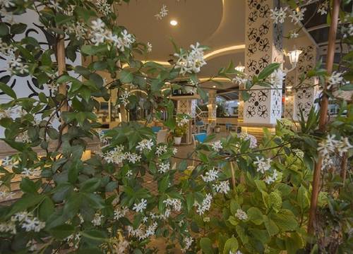 turkiye/mugla/fethiye/ocean-blue-high-class-hotel-0d24f0e2.jpg