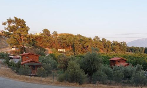 turkiye/mugla/fethiye/olive-garden-bungalow_61b14eae.jpg