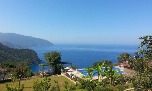 turkiye/mugla/fethiye/olive-garden-kabak_984215f3.jpg