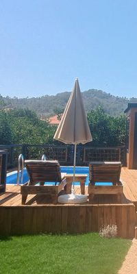 Orange Paradise