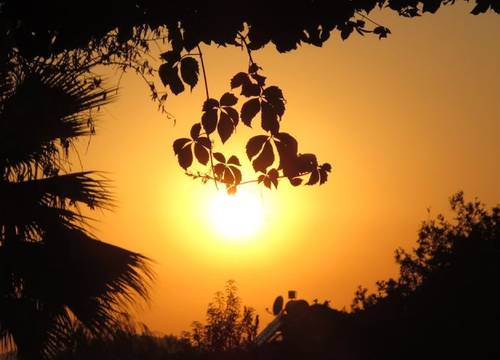 turkiye/mugla/fethiye/ova-resort-83067t.jpg