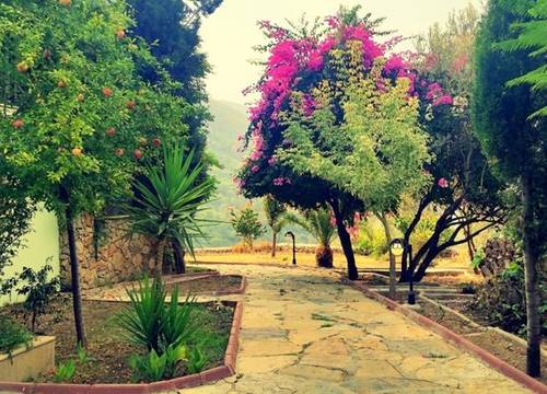 turkiye/mugla/fethiye/paradise-garden-hotel-1328842059.jpg