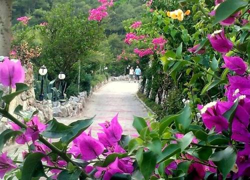 turkiye/mugla/fethiye/paradise-garden-hotel-250962.jpg