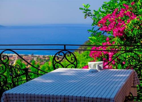 turkiye/mugla/fethiye/paradise-garden-hotel-359483555.jpg