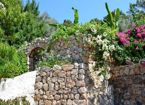 turkiye/mugla/fethiye/paradise-garden-hotel-433058903.JPG