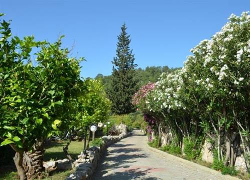turkiye/mugla/fethiye/paradise-garden-hotel-771949448.JPG