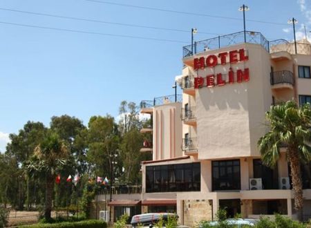 turkiye/mugla/fethiye/pelin-hotel-827450.jpg