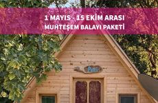 turkiye/mugla/fethiye/pusula-bungalow-4ed6ef3a.jpeg