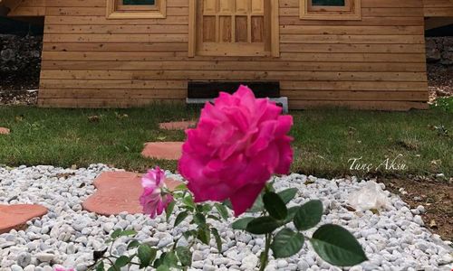 turkiye/mugla/fethiye/pusula-bungalow_e9e020b9.png