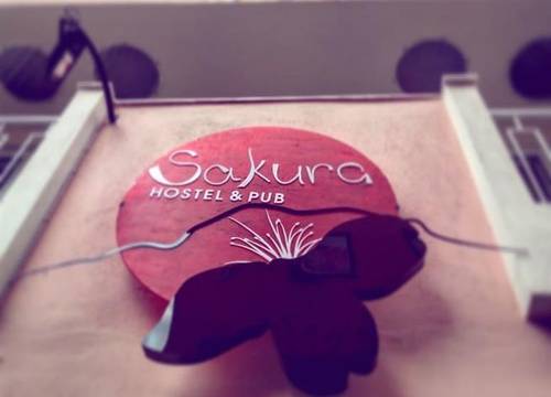 turkiye/mugla/fethiye/sakura-hostelpub-24216457.jpg