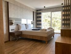 Standard Sea View Room