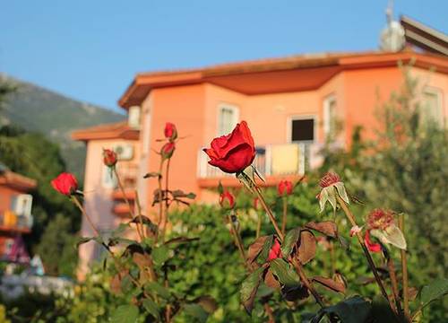 turkiye/mugla/fethiye/sindrella-apart-hotel_6ff6b3c7.png