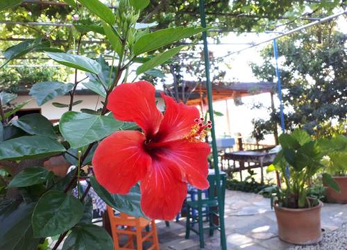 turkiye/mugla/fethiye/suleymans-garden_7665be3e.jpg