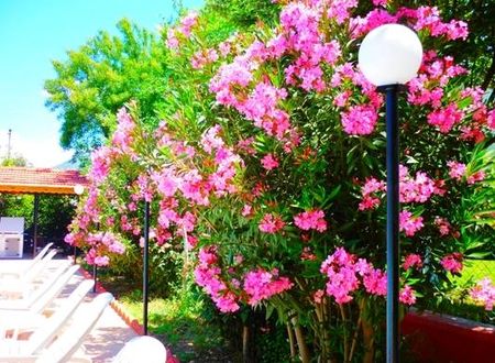 turkiye/mugla/fethiye/the-green-valley-hotel_2d24897a.jpg