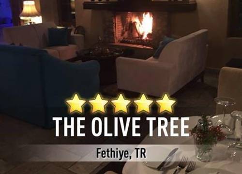 turkiye/mugla/fethiye/the-olive-tree-studios-618529410.jpg