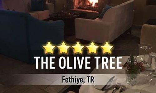 turkiye/mugla/fethiye/the-olive-tree-studios-618529410.jpg