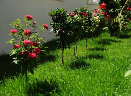 turkiye/mugla/fethiye/tiryaki-boutique-hotel-78169n.jpg