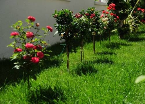 turkiye/mugla/fethiye/tiryaki-boutique-hotel-78169n.jpg