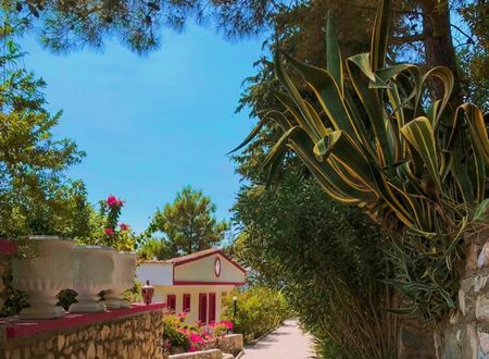 turkiye/mugla/fethiye/tlos-butik-otel_185d21b5.jpg