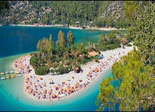 turkiye/mugla/fethiye/turtle-apart_83a8cfa0.png