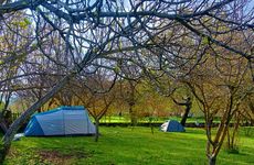 turkiye/mugla/fethiye/ya-basta-camping_13f37f68.jpg