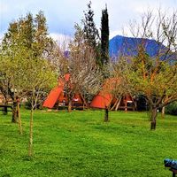 Ya Basta Camping