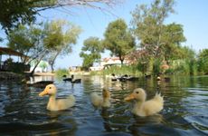 turkiye/mugla/fethiye/yonca-lodge-9c5fbb8e.jpg