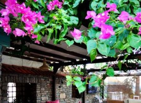 turkiye/mugla/koycegiz/ekincik-butik-hotel-92832e.jpg