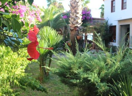 turkiye/mugla/koycegiz/ekincik-butik-hotel-928423.jpg