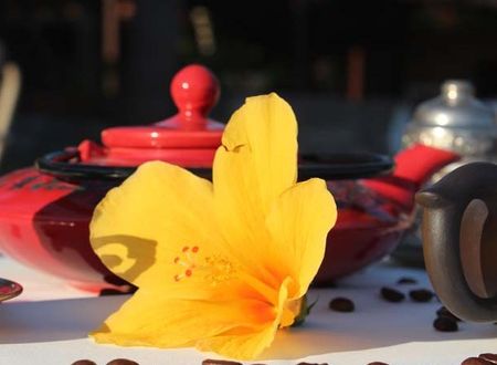turkiye/mugla/koycegiz/ekincik-butik-hotel-928497.jpg