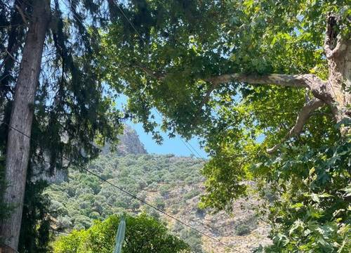 turkiye/mugla/koycegiz/karyatid-otel_8728f944.jpg