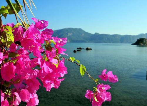turkiye/mugla/marmaris/adasu-butik-otel_2e663363.jpg