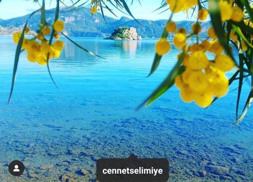 turkiye/mugla/marmaris/adasu-butik-otel_66555ec8.jpeg