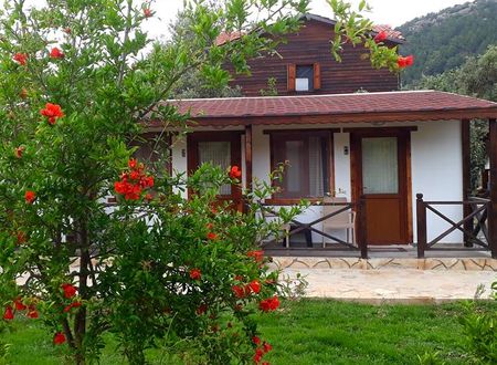 turkiye/mugla/marmaris/albatros-beach-butik-otel-e175c3a0.jpg