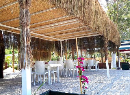 turkiye/mugla/marmaris/albatros-beach-butik-otel_138b2efb.jpg